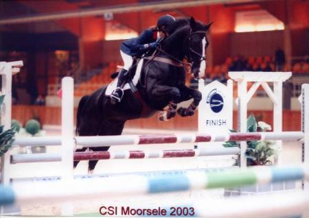 oxer morsel