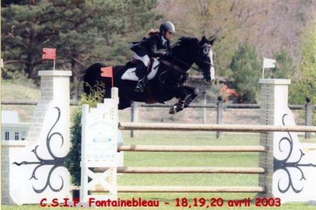 oxer c.s.i.p fontainebleau